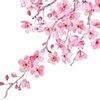 sophia_design